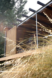 Queenstown residential design tussock